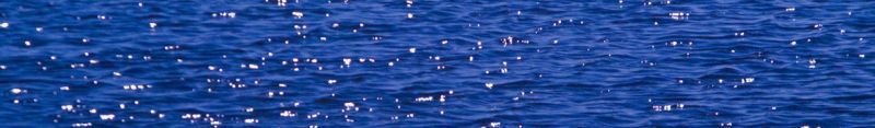 File:Default water.jpg